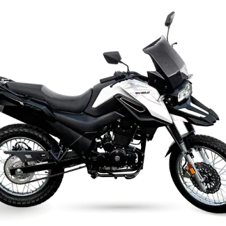 SHI 175 S 2026