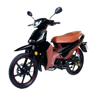 PHOENIX 50 S EFI 2025