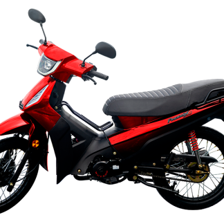 Phoenix 50 SS 2026